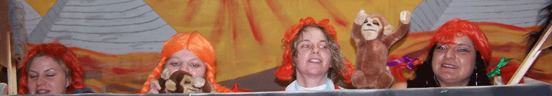 pippi 800